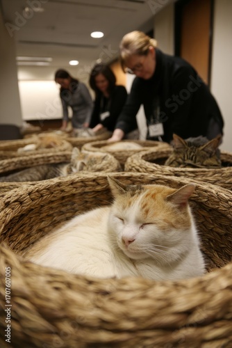 A relaxation lounge with therapy cats in woven baskets. Employees pet them softly. The mood feels heartwarming and serene, Generative AI 