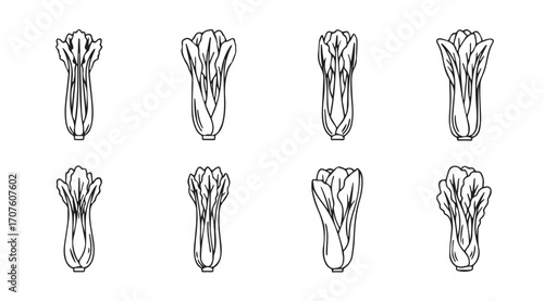 Eight detailed black and white asparagus stalks in a silhouette arrangement