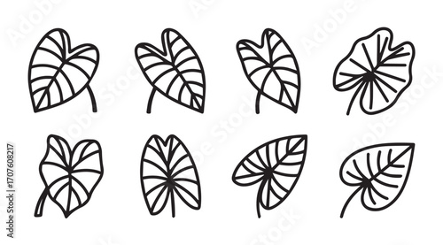 Collection of eight hand drawn taro leaf silhouettes in a simple line art style silhouette
