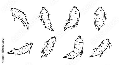 Collection of hand drawn cassava root vegetables in a distinctive silhouette style