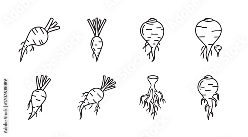 Collection of hand drawn root vegetable silhouettes with tops and roots