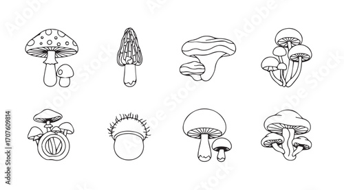Collection of eight hand drawn mushroom silhouettes in black and white silhouette