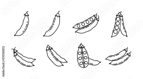 Collection of hand drawn pea pods in a simple silhouette style