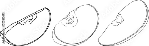 Line apples, perfect for educational or botanical designs. High quality illustration, coloring pages.	
