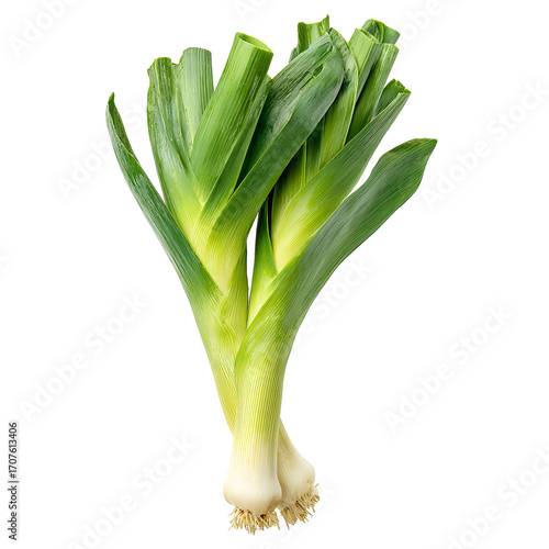 Fresh leek bunch, vibrant green leaves