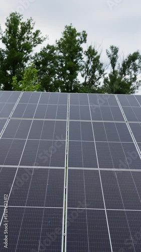 Renewable solar panels transform sunlight into clean electricity at an eco friendly energy power station providing sustainable development and ecological environmental protection.