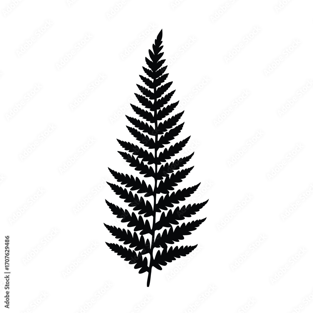 Minimalist black silhouette of a fern on a clean white background Minimalist black silhouette of a fern on a clean white background