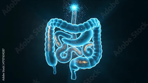 Human Digestive System Glowing with Gut Microbiome
