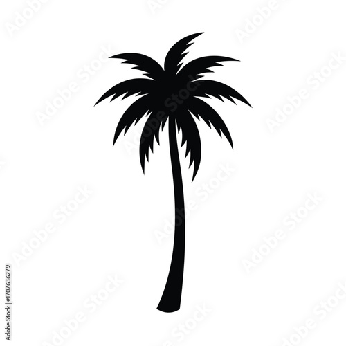 Black silhouette of a tropical palm tree on a clean white background for design