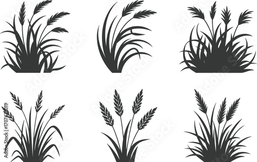 Grass and wheat silhouette vector set, black botanical plant designs for nature art, farm illustration, decorative patterns, and agricultural graphic projects