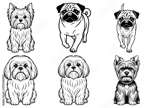 Collection of black and white line art dog breeds illustration