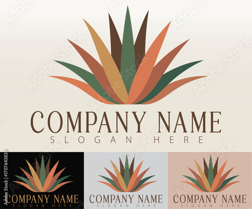 A minimalist logo design featuring a stylized agave plant.