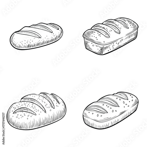Pain de Campagne elegant line art vector mix in a clean minimal style.