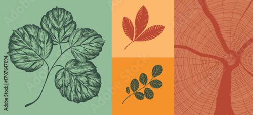 Set of Colorful Isolated Autumn Leaves with Grunge Texture. Oak, Maple, and Sycamore Leaf Stamps Paired with Tree Rings for Seasonal Nature-Inspired Art and Prints