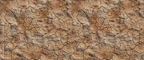 seamless pattern tiles: ground surface dry cracked earth