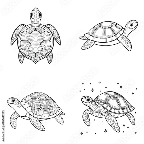 Turtle elegant line art vector mix in a clean minimal style.