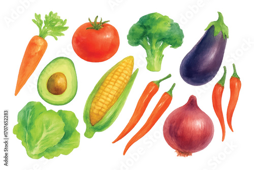 watercolor vegetables bundle collection illustration