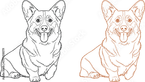 Charming Pembroke Welsh Corgi illustration in two line art styles