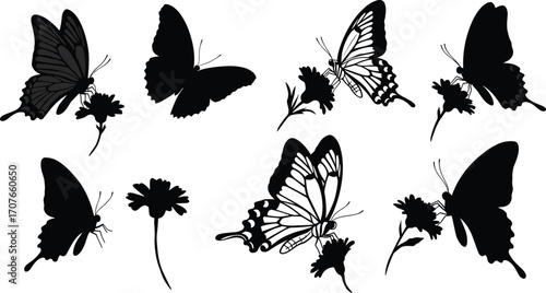 Butterfly and flower silhouettes in various poses, insect wildlife vector set, pollinator graphic, tropical garden nature illustration, floral design elements collectio
