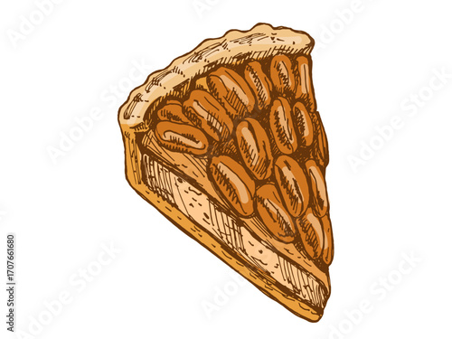 Hand drawn vintage sketch of pecan nut pie slice with crispy crust in brown baked color vector illustration