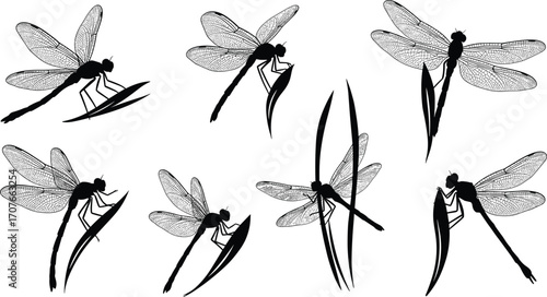 Dragonfly silhouettes perched on and flying near grass blades, insect wildlife vector set, tropical nature graphic, garden illustration, design elements collection