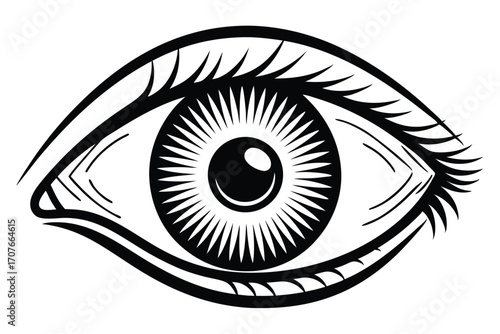 Isolated human eye is intensely detailed, with radiating lines and intricate eyelashes in black