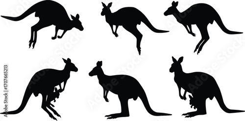 Kangaroo silhouettes in jumping and standing poses with joeys, Australian wildlife vector set, marsupial animal graphic, outback nature illustration, design elements collection