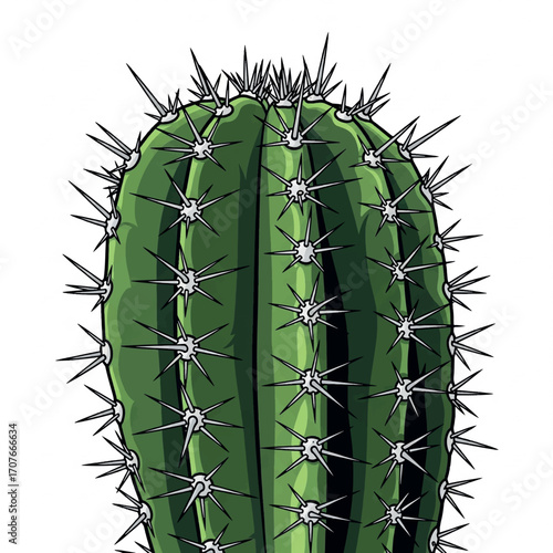 drawing, illustration, cactus, design, vector, art, graphic, nature, desert, summer, arizona, cartoon, plant, background, botanical, western, floral, flower, cacti, isolated, exotic, cute, succulent, 