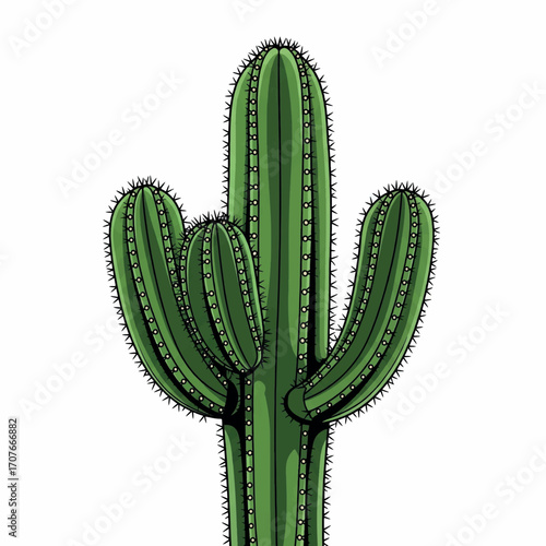 drawing, illustration, cactus, design, vector, art, graphic, nature, desert, summer, arizona, cartoon, plant, background, botanical, western, floral, flower, cacti, isolated, exotic, cute, succulent, 