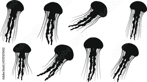 Lobster silhouettes in multiple poses and orientations, marine wildlife vector set, ocean animal graphic, tropical sea creature illustration, coastal nature design elements collection