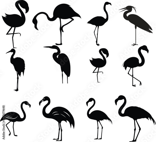 Elegant silhouette set of flamingo and heron birds