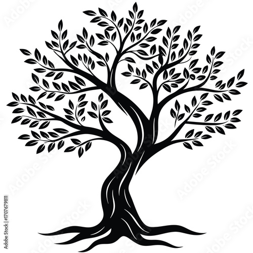 Silhouette of a leafy tree with a twisted trunk and widespread roots stands