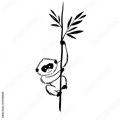 Gibbon. Gibbon simple black and white line art vector logo
