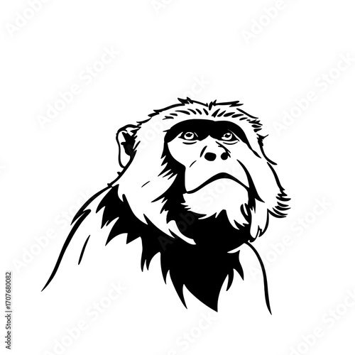Macaque. Macaque simple black and white line art vector logo