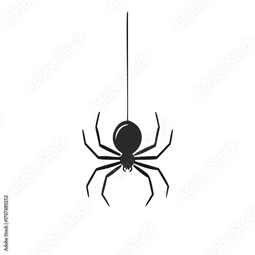 Black silhouette spider hanging on a thread insect