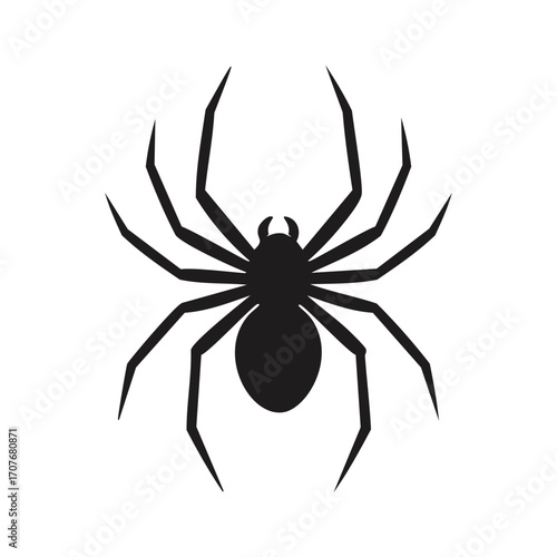 Black Spider Silhouette insect arachnid