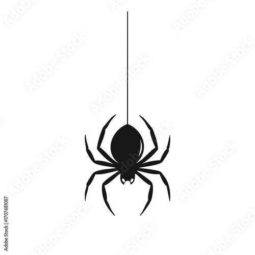 Black Spider Hanging on a Thin Thread Silhouette insect