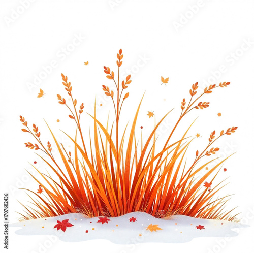 Autumn grass, fall grass, brown grass