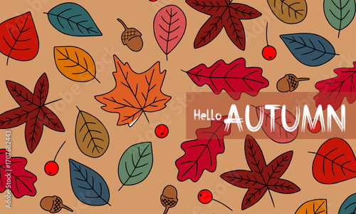 Hello Autumn seasonal  banner with leaves, floral elements and autumn attributes. Vector illustration.