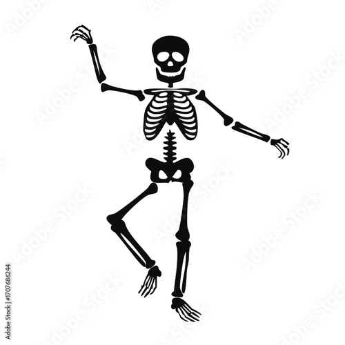 Skeleton figure in a ballet pose on white background