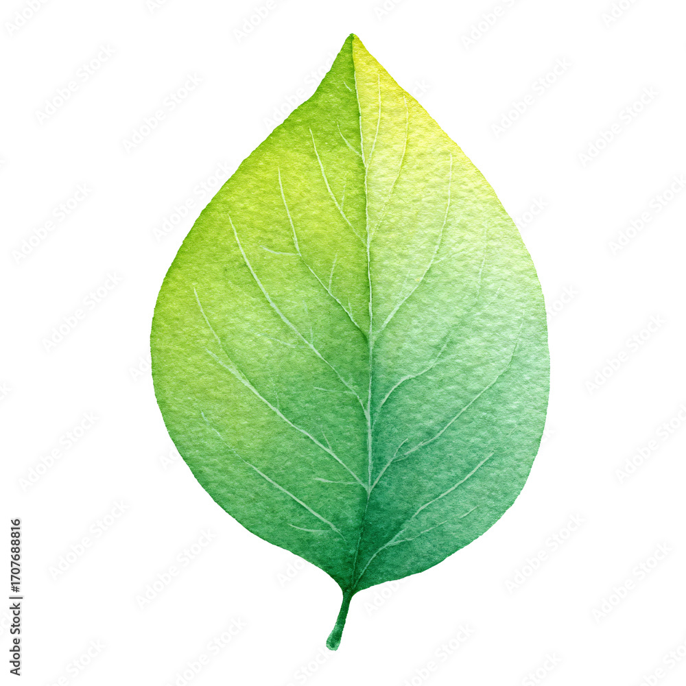 Obraz premium Isolated flat leaf icon in pastel green, a watercolor style element, isolated on black