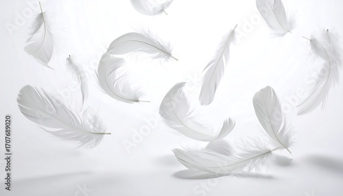 A serene image of multiple pristine white feathers drifting against a soft, white background, creating a sense of lightness