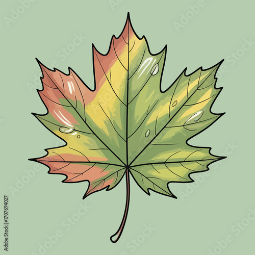 Autumn leaf with water droplets maple leaf fall foliage