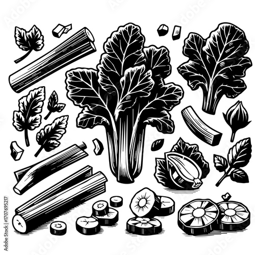 Illustration of assorted vegetables including celery and leafy greens in black and white style