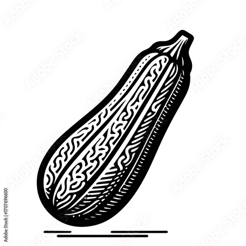 Illustration of a single zucchini squash with detailed line work and shading on a white background