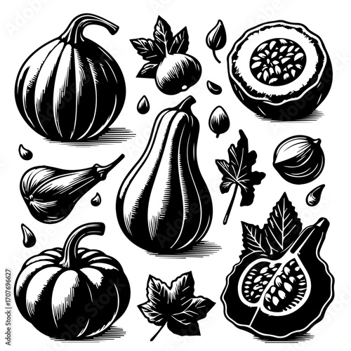 A collection of various pumpkins, gourds, and squash with leaves in black and white illustration