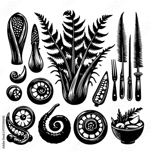 Botanical illustration featuring various fern species and plant structures in black and white style