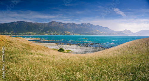 Golden Coastal Grass Sloping Toward Turquoise Sea with the Seaward Kaikoura Range in the Background, Kaikoura Peninsula, New Zealand