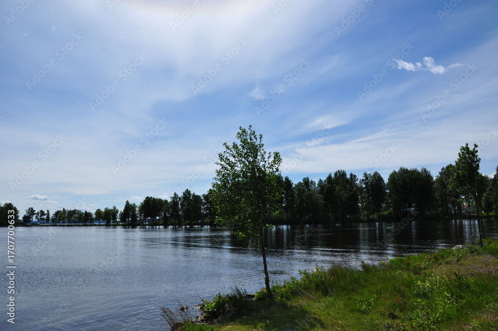 Obraz premium lake and forest