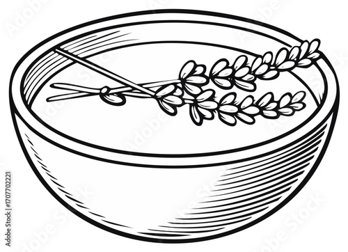 Black and white drawing of lavender sprigs floating in a bowl of water